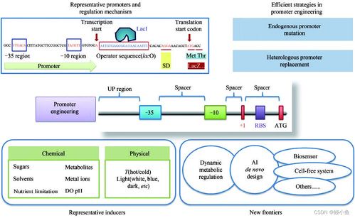 傳統(tǒng)行業(yè)與人工智能融合 材料、化學(xué)、物理、生物的發(fā)展與未來展望