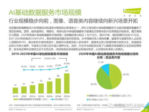 中國人工智能基礎(chǔ)軟件開發(fā)行業(yè)報告 2021 夯實智能底座，賦能產(chǎn)業(yè)變革